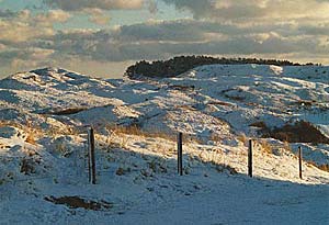 Texel im Winter