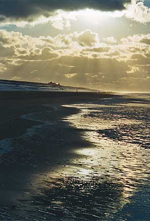 Texelimpression
